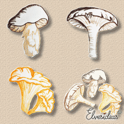 moshrooms - boletus, chanterelle and chameleon mushroom machine embroidery