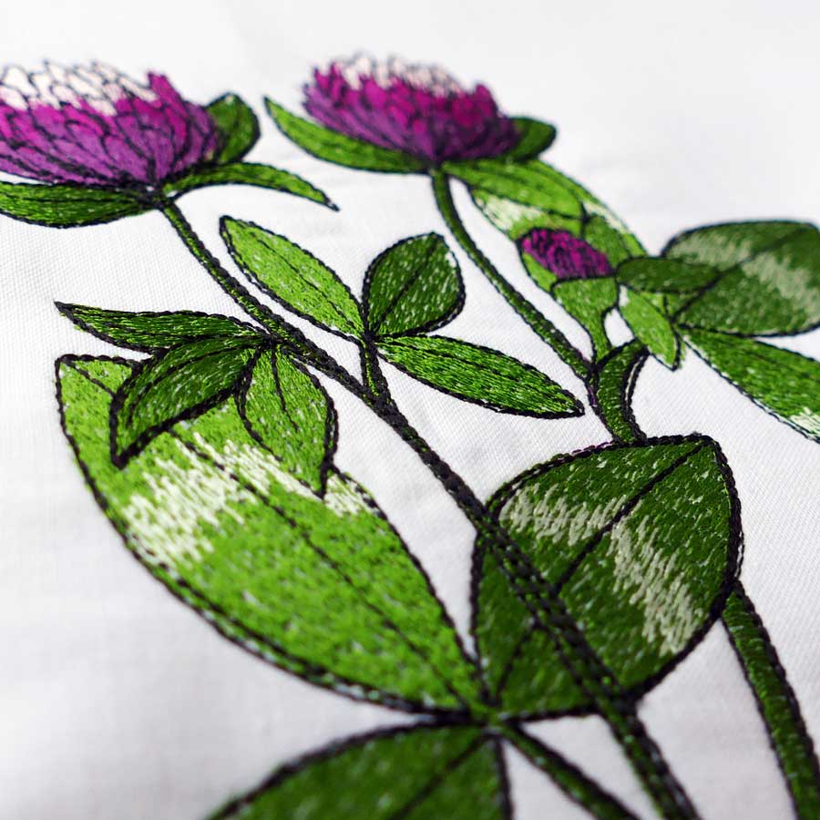 Red clover