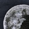 raven moon machine embroidery