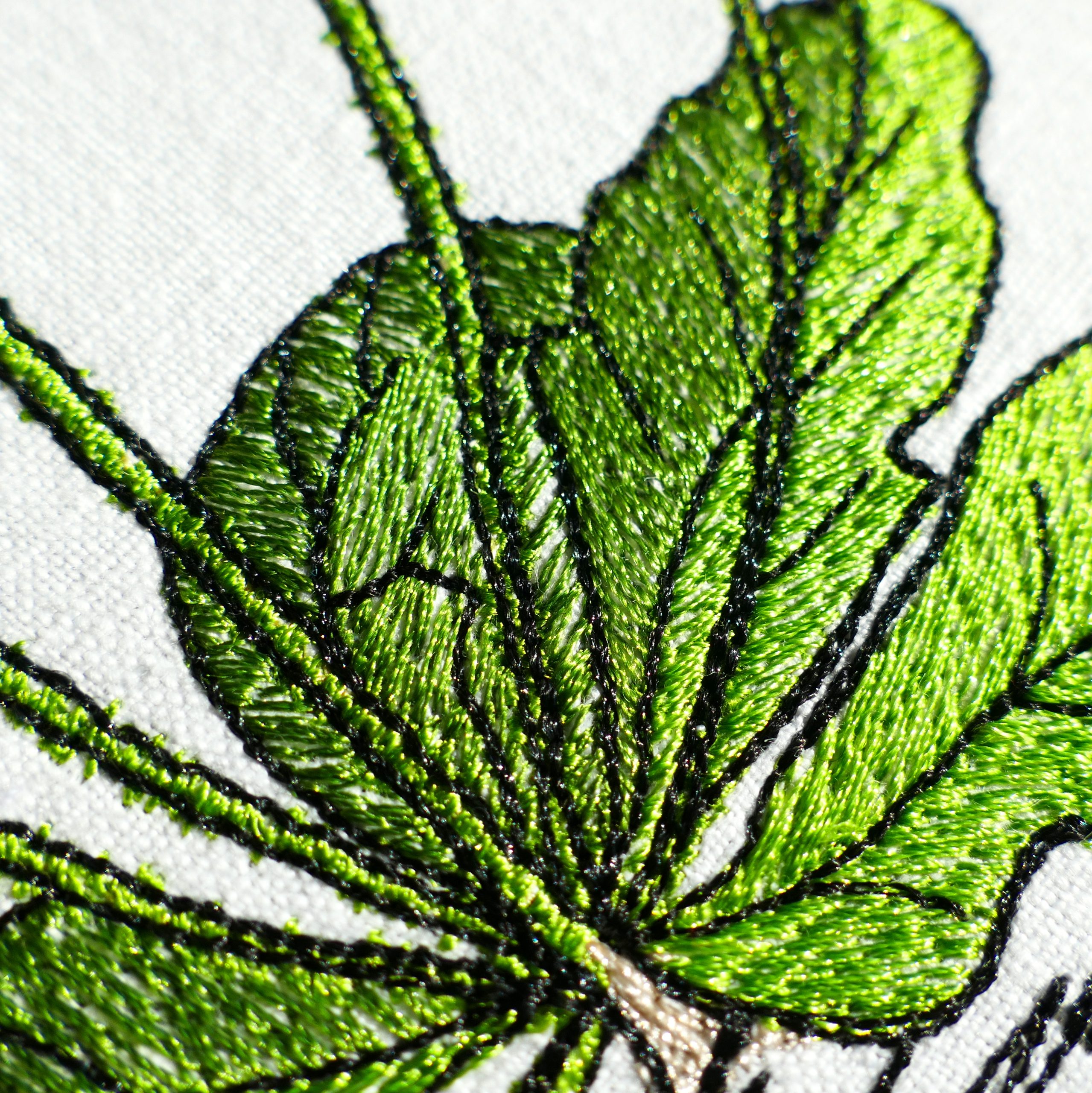 Daisy Delight - Image 12