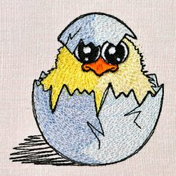 Freshly Hatched Chick